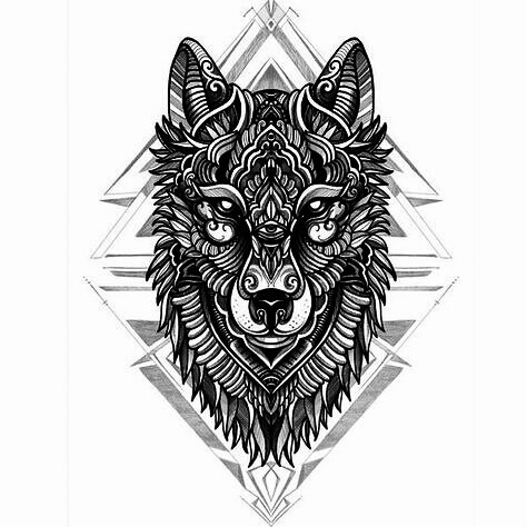 lobo