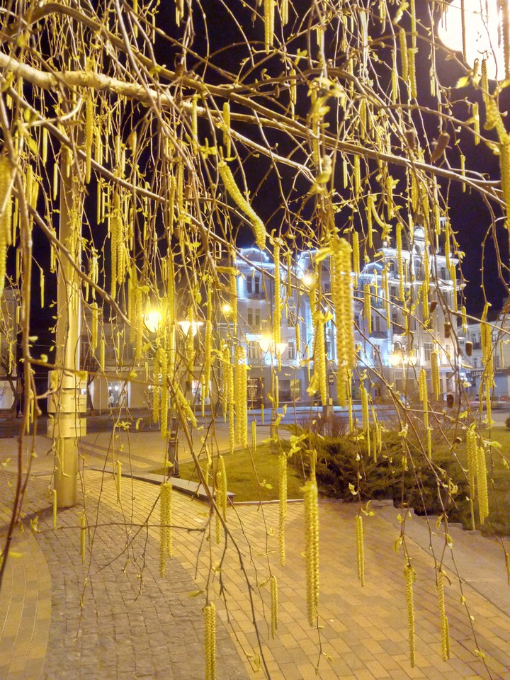 Spring evening in my town