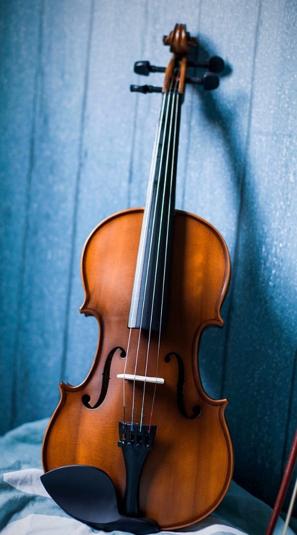 violin