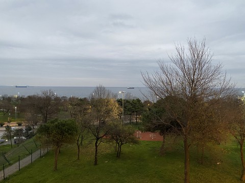 Sea and Green