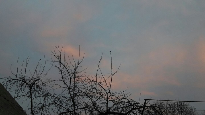 Sky