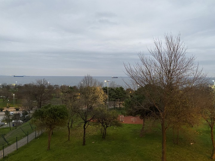 Sea and Green