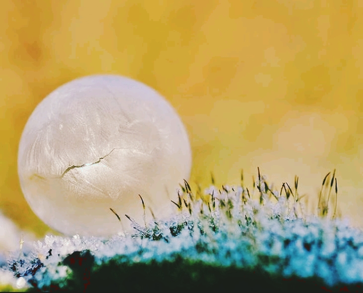 Frozen