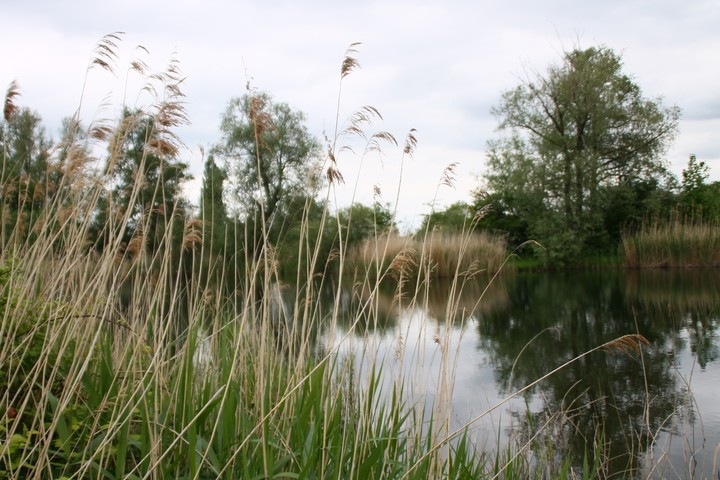 beautiful nature