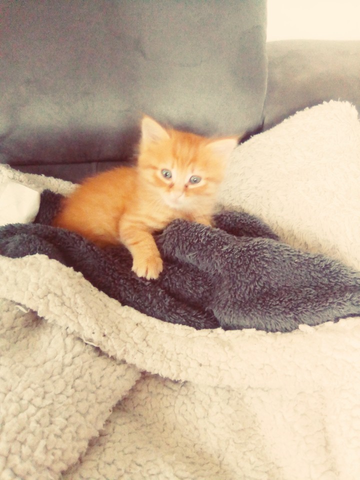 mon bbbbbyyyyyy