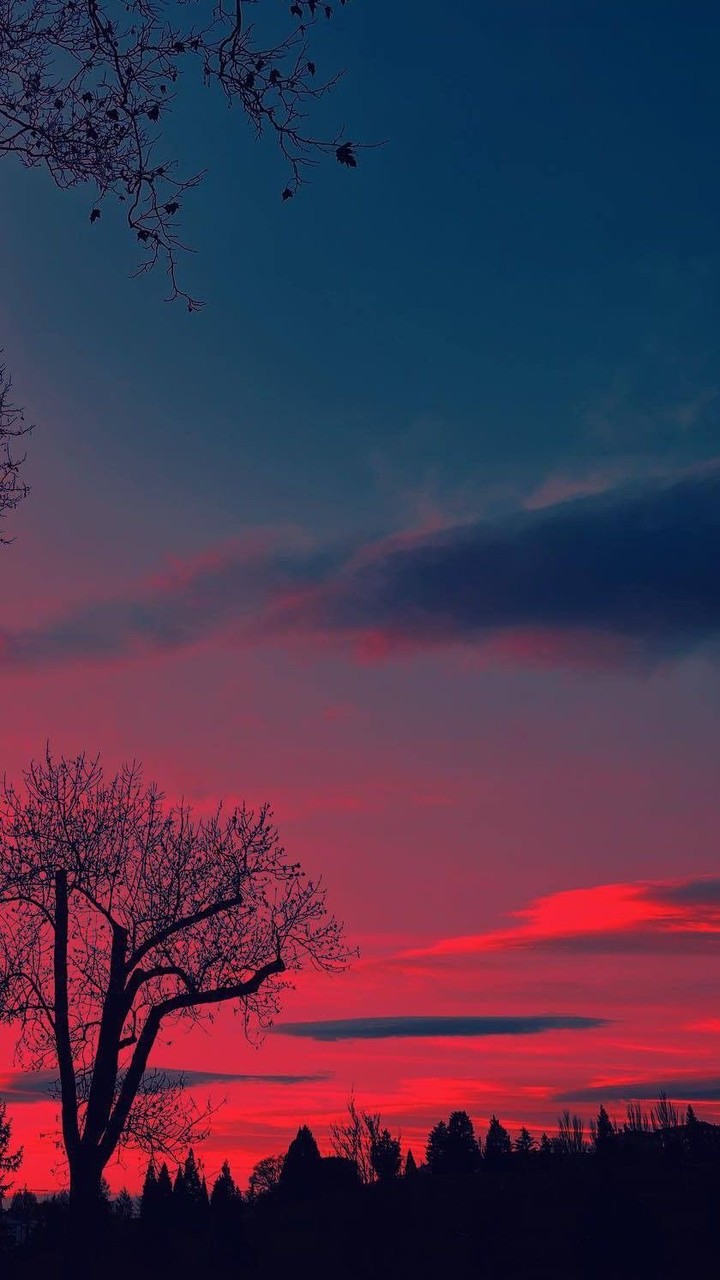 шпалери red, sky