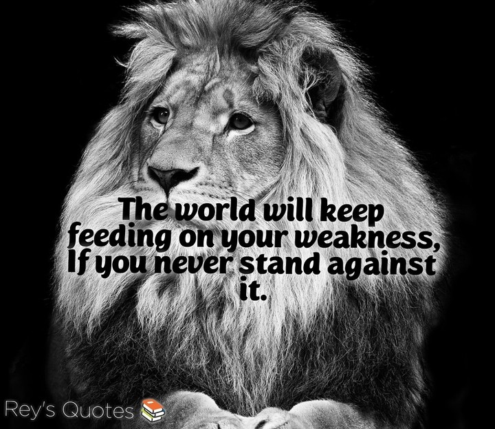 Rey's Quotes