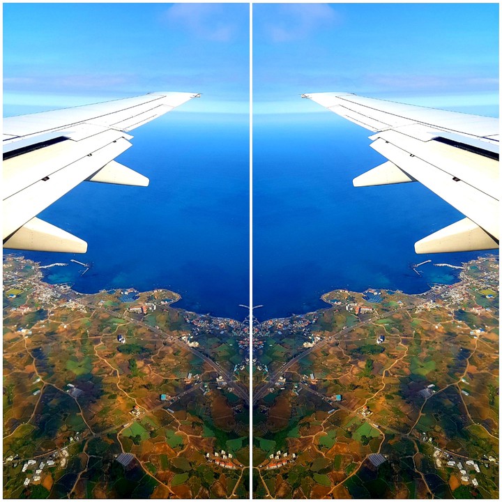대칭