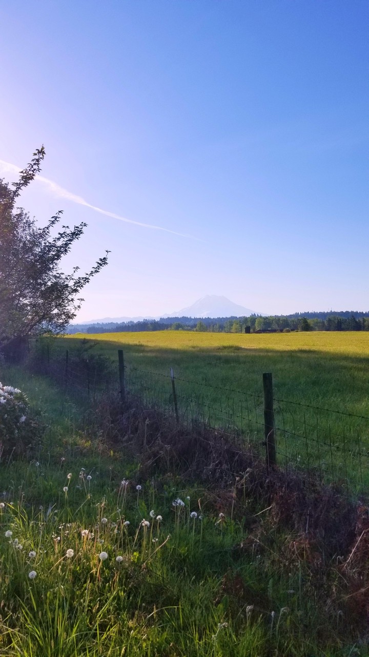 mountain view