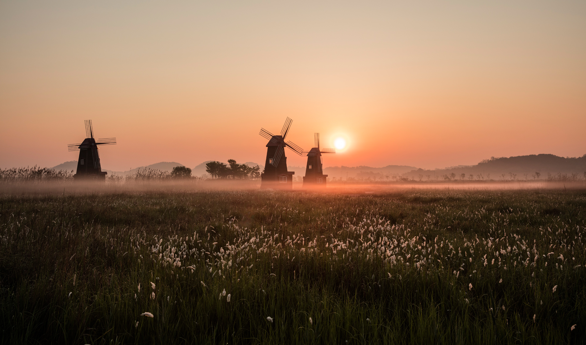 Windmill and Greenfield