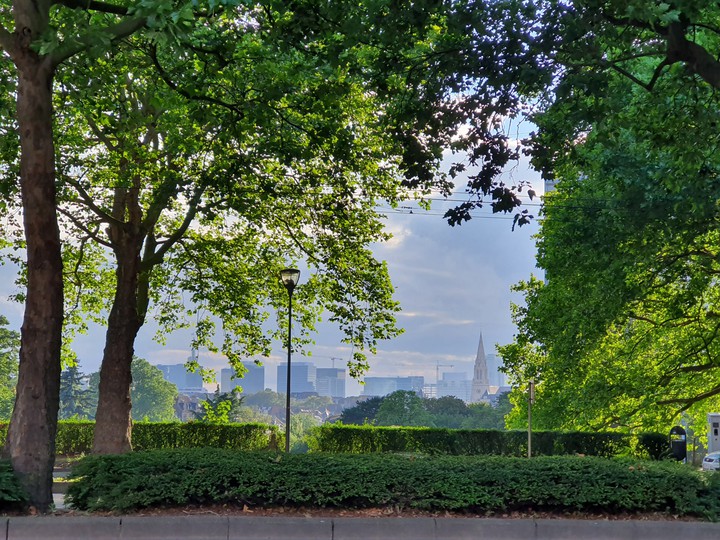 City & Nature
