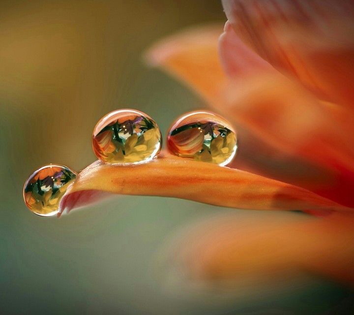 water