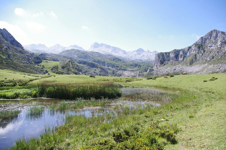 Aire pur i fresc