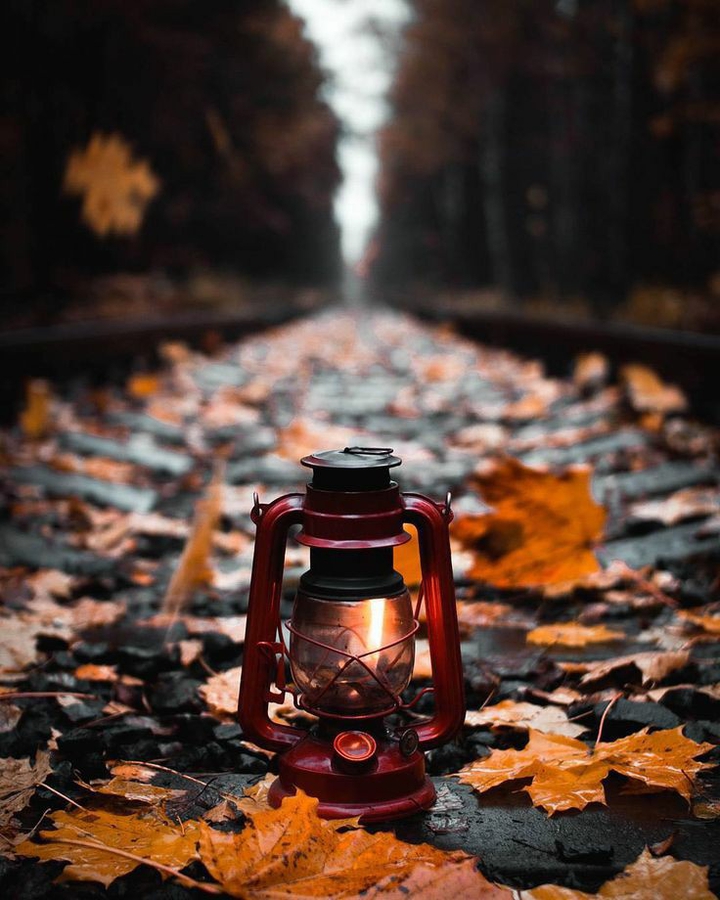 ➖♣️... Lantern...♣️➖