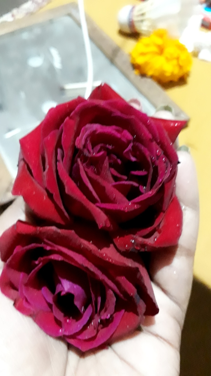 in love