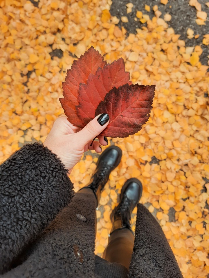 autumn