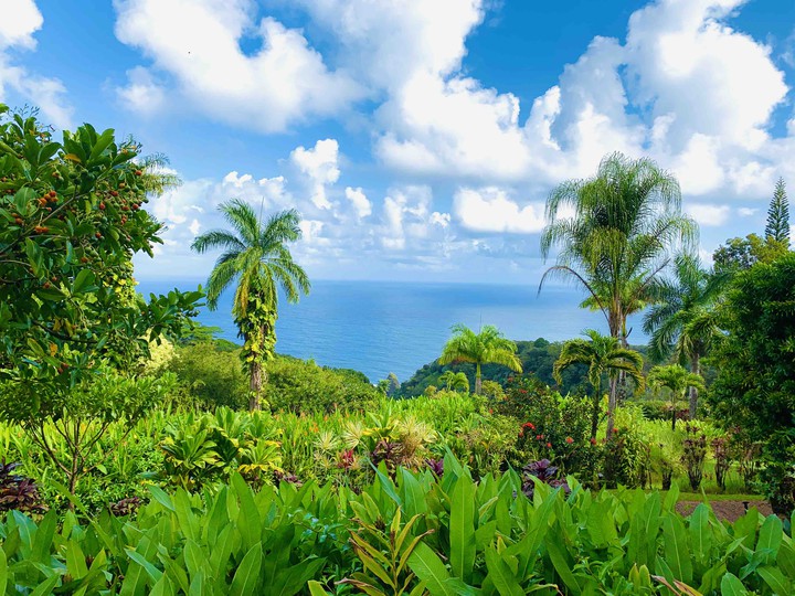 Eden Garden Maui