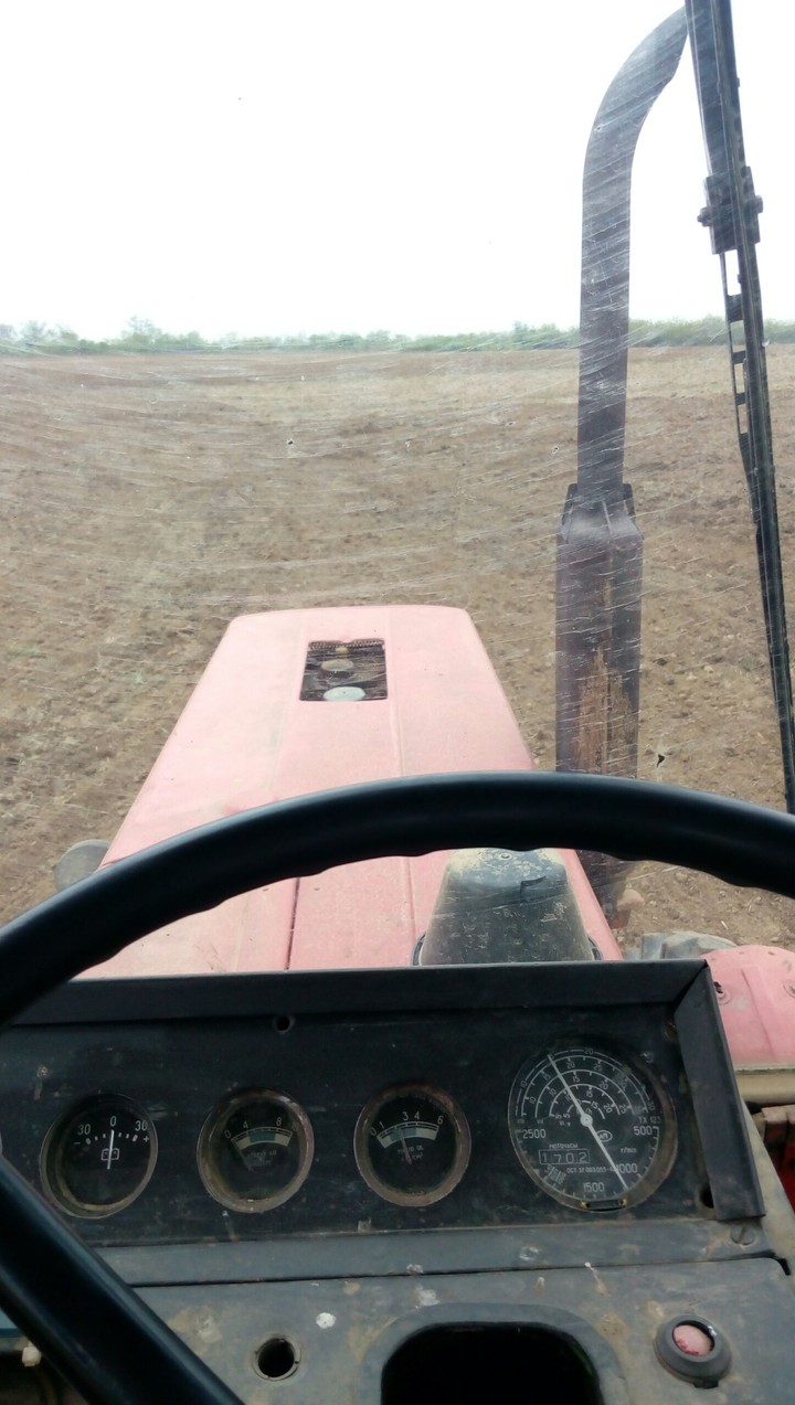 Mtz82