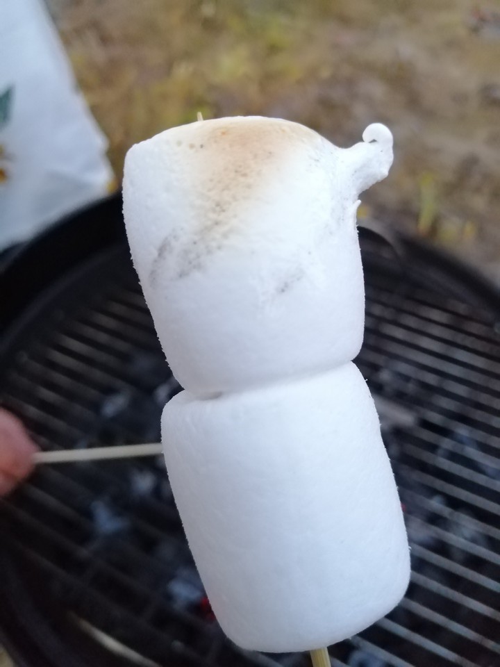 marshmello