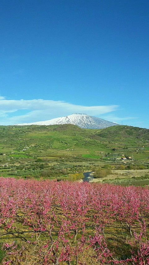 Etna