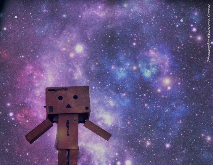 danbo