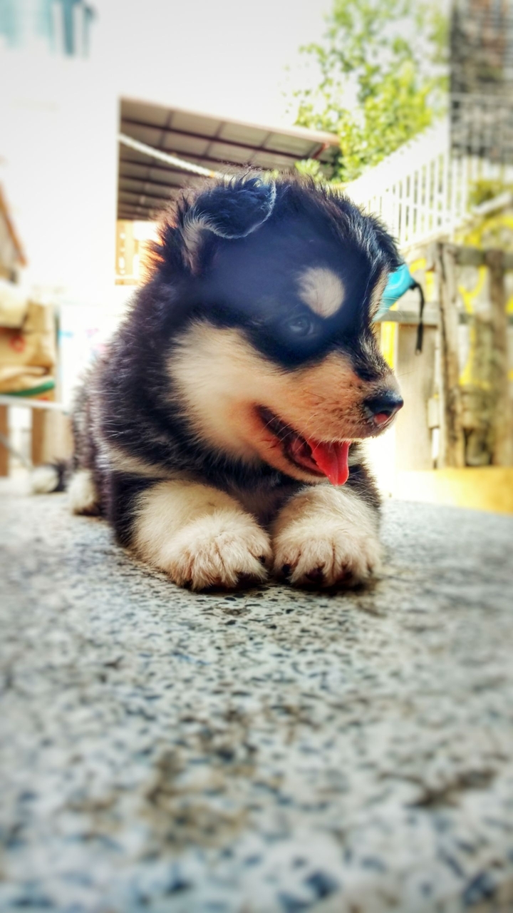 mynamesJiwJiw
