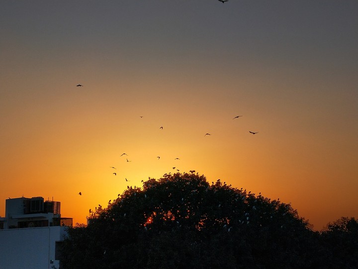 sunset