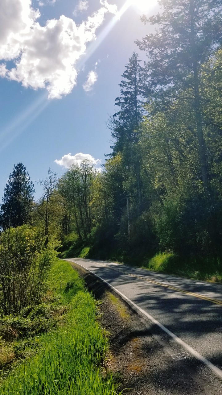 getting lost and finding new places