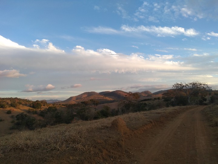 nature