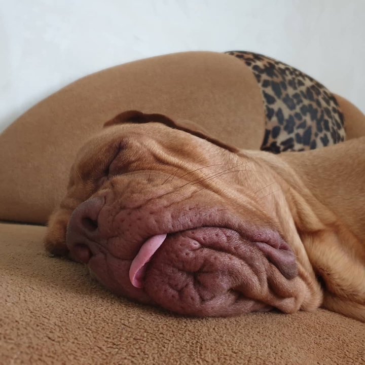 Relax