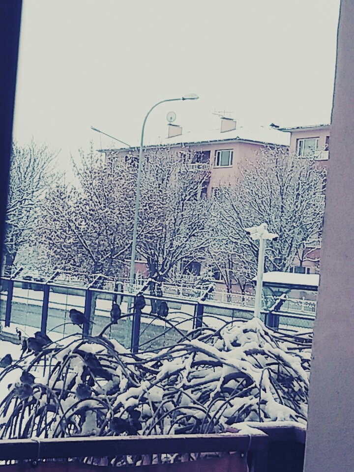 ❄ ⛄ 