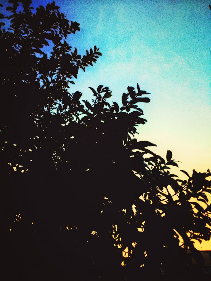 Fim de tarde