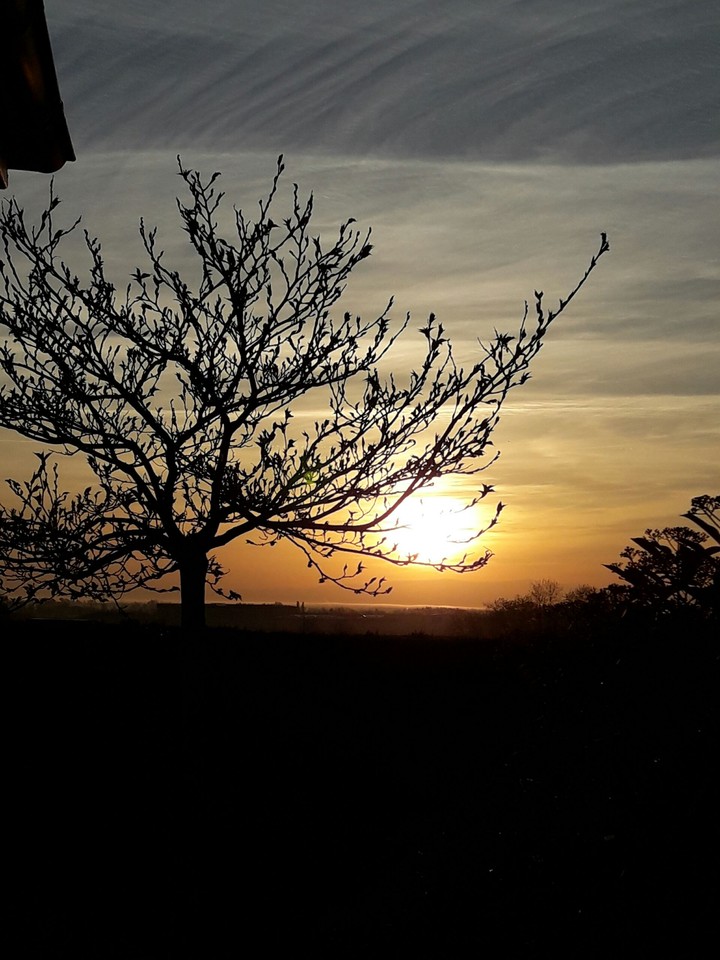 the  Sun a.m