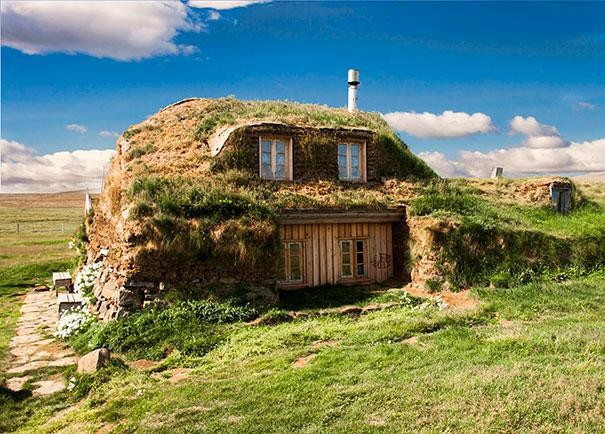 turf-covered home