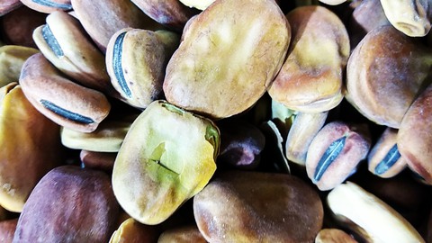 רקעים Ingredient, produce