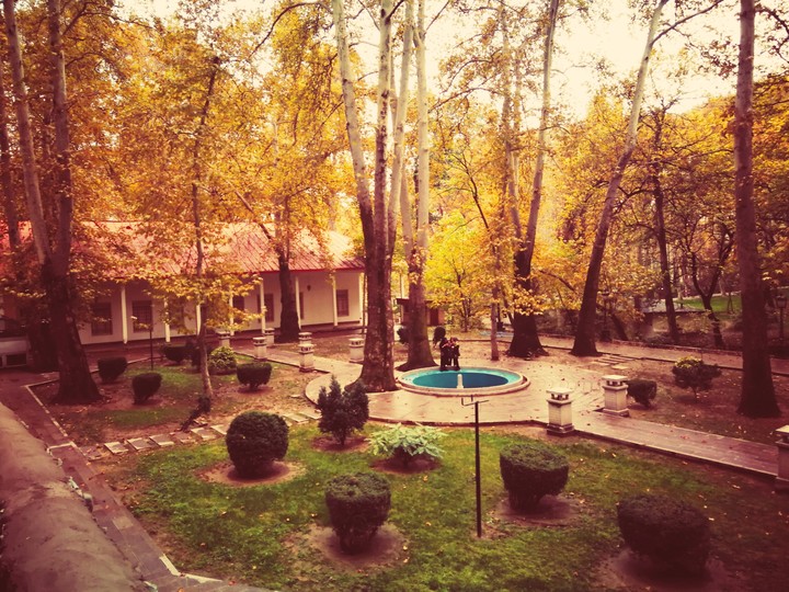 autumn