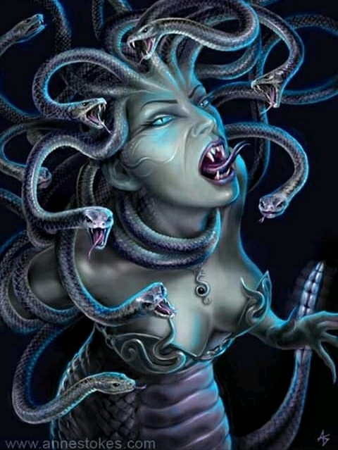 Medusa