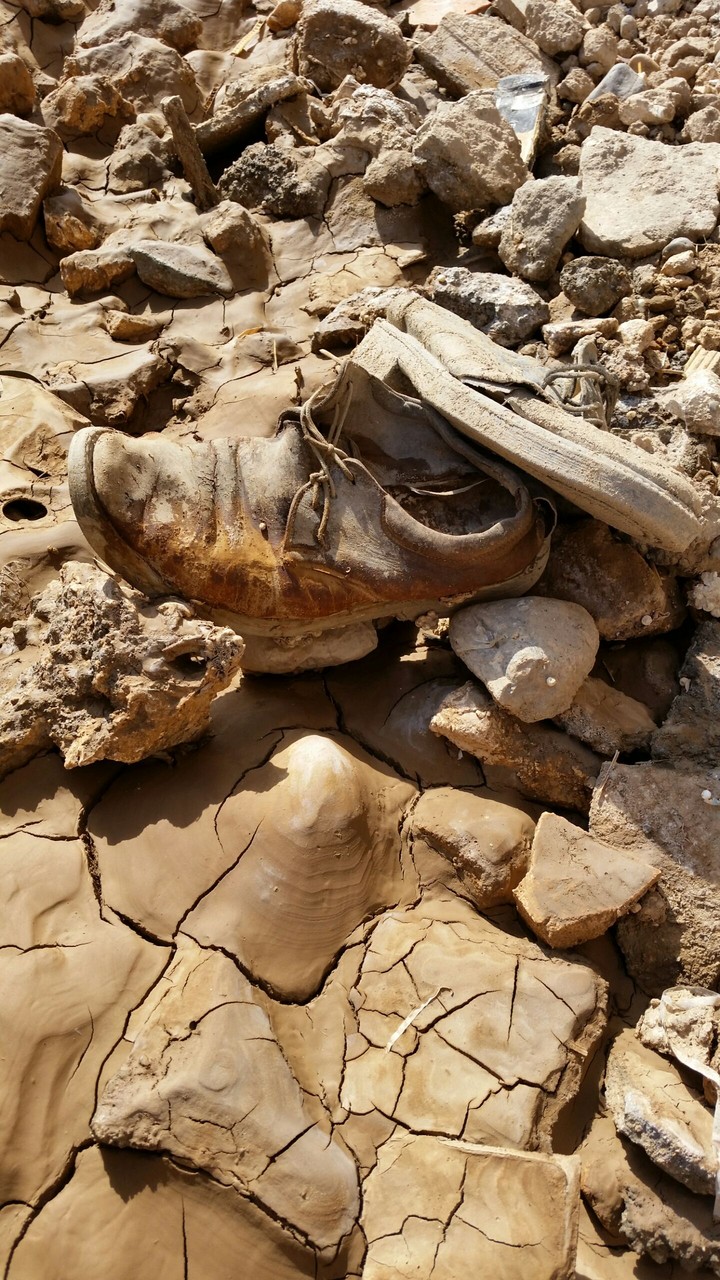 an old shoe on the way