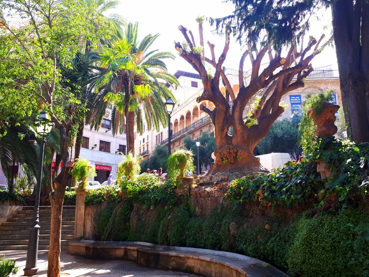 Nature Palma