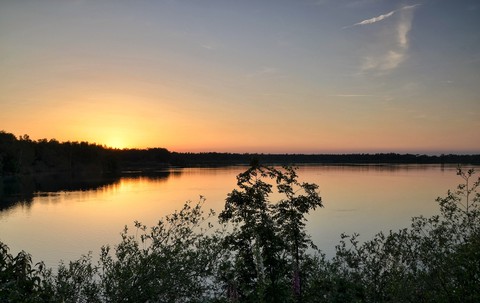 plant, lake achtergronden