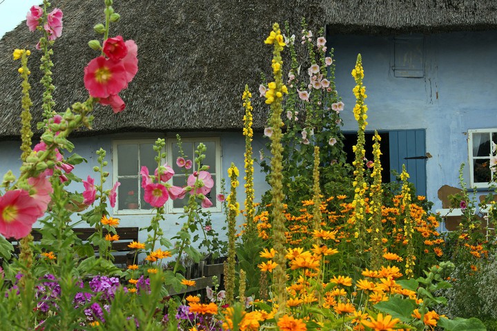thatched farm garden