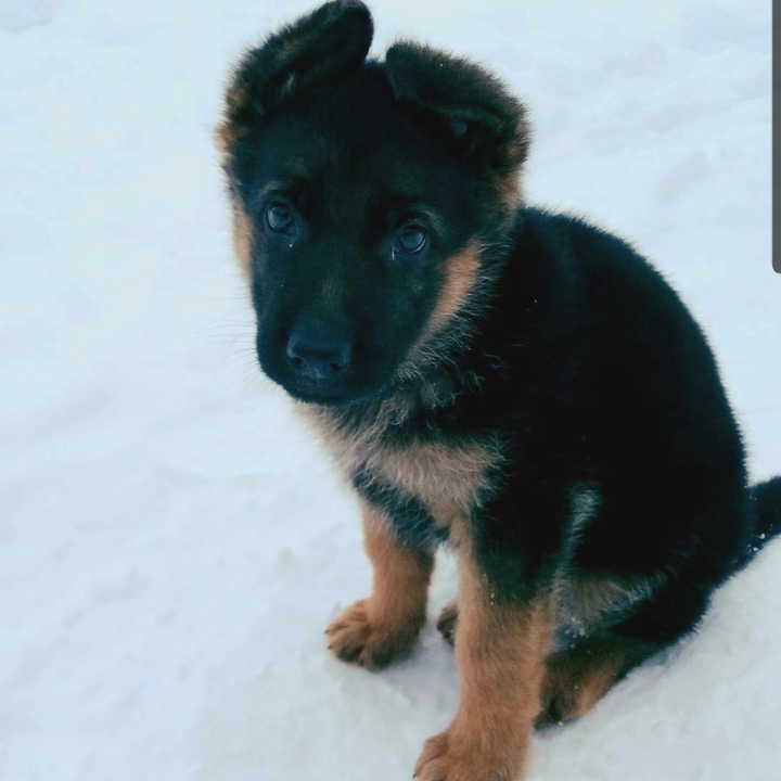 А я виросту?