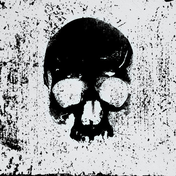 skull wall