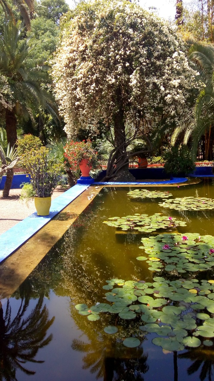 Marrakech ♥️
