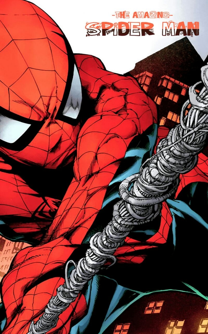 The Amazing Spider Man