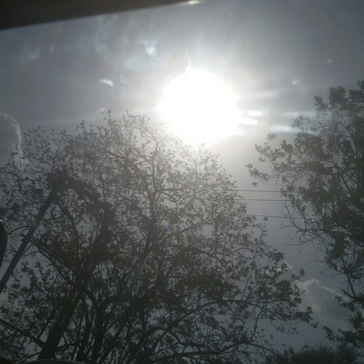 SunShine....