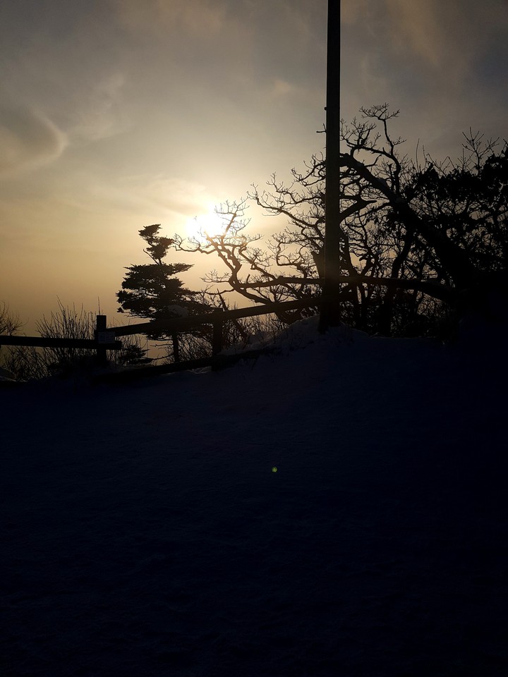 산에서 찍은 사진