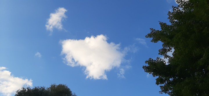 fishy cloud?