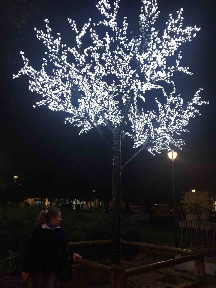 Luces navideñas