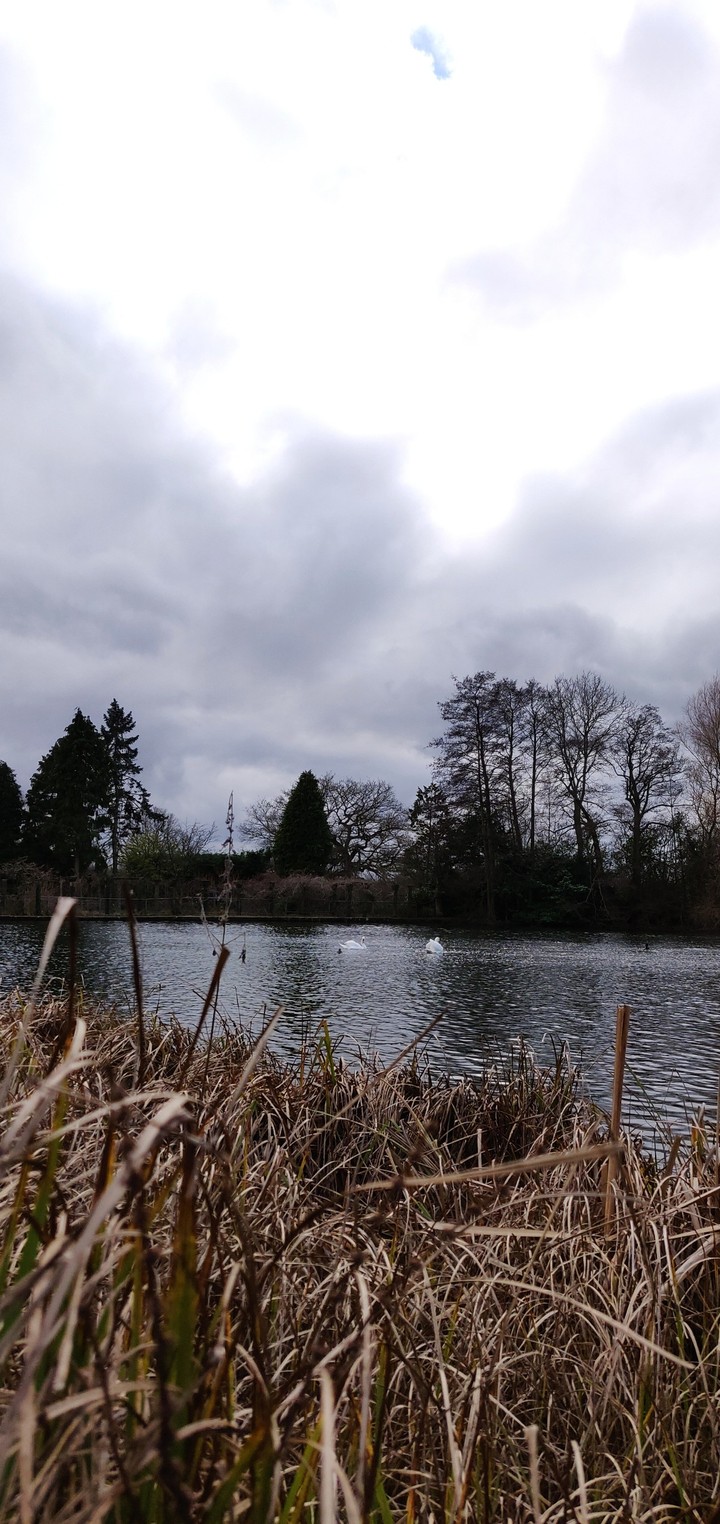 gloomy afternoon